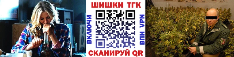 Каннабис SATIVA & INDICA  Купить закладки  Кисловодск 